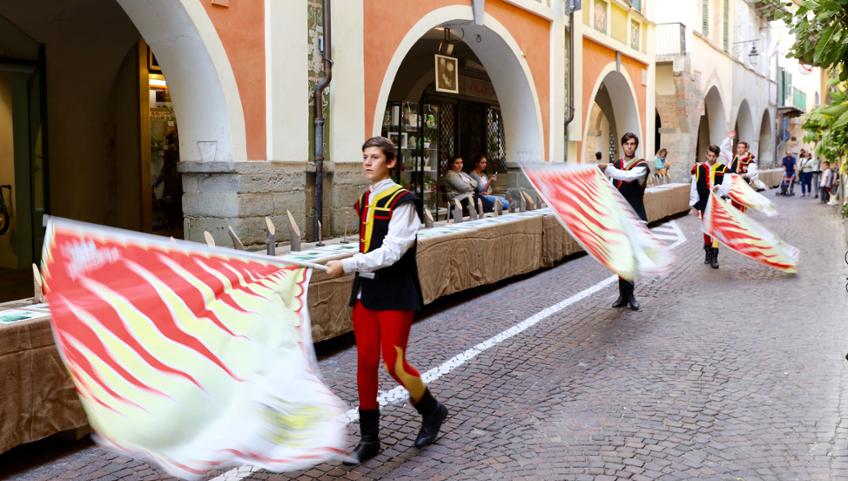 NAPOLEONE SI È FERMATO A CEVA